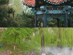 -伪满皇宫博物院