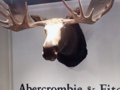 -Abercrombie&Fitch(德基广场店)