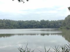-大湾区中央湿地公园