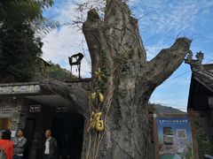 -磐安十八涡风景区