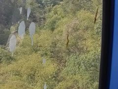 -缙云山景区