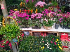 -秦美花卉(天朗·莱茵小城2期店)