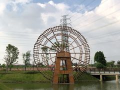 -王借岗森林公园