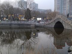 -文瀛公园