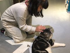 -小时光咖啡馆(开森度假森林店)