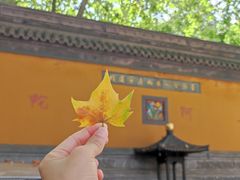 -灵谷景区