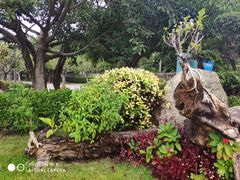 -厦门日月谷温泉渡假村