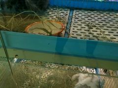 -雨林宠物医院 非犬猫异宠专科