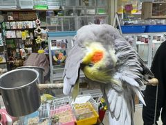 -三旗百汇商品城