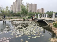 -前关湿地公园