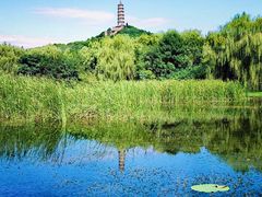-北坞公园
