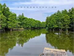 -尚湖风景区
