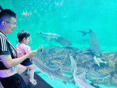 -太平洋海底世界