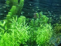 -上海海洋水族馆