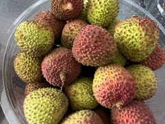 荔枝-胡麻地果研所(兰州中心BM店)