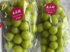 -马陆小张葡萄园农家乐