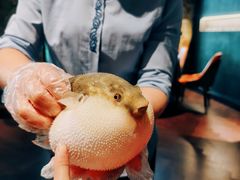 -肆月河豚·淮扬菜·湘菜(华天店)