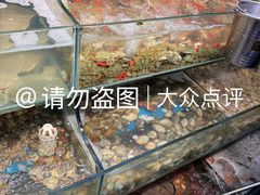 -仙螺岛海鲜自助餐厅(总店)