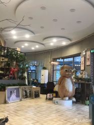 点击看大图 -拾光年华摄影馆(菱角湖公园店)