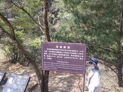 -苍山感通索道