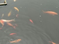 -陈云纪念馆