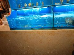 -芭菲盛宴·环球美食(北城国际店)