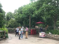 门口发免洗手液-上海迪士尼度假区