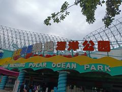 -海合安武汉极地海洋公园