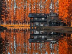 -黄海国家森林公园