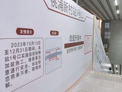 -桃浦新村(地铁站)