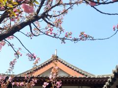 -西安青龙寺遗址景区