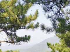 -十三陵水库