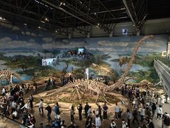 -自贡恐龙博物馆