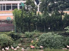 -石排湾郊野公园