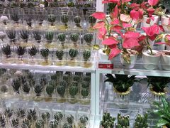 -KKV(深圳宏发大仟里店)