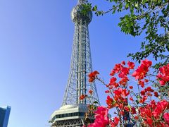 -文华公园(禅城区)