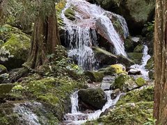 -东天目山风景区