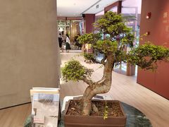 -二酉书店TOYOU BOOKS