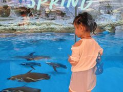 -帝企鹅自助餐厅•儿童岛•真企鹅(长隆企鹅酒店)