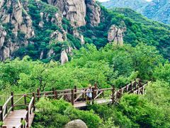 -大岭沟猕猴桃谷风景区