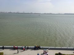 -大湾区中央湿地公园