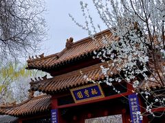 -桃花堤公园