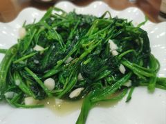 -老马餐馆
