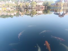 -深圳东部华侨城茵特拉根酒店