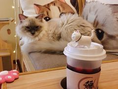 -猫和宫(六道口店)