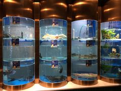 -香坝坝鲜鱼火锅(春熙路店)