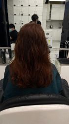 -潘多拉Hairsalon