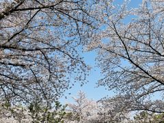-苏州上方山国家森林公园