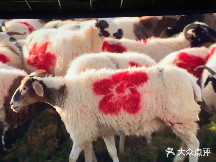 至潮影城(厦禾路美仁广场店)图片