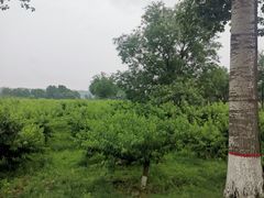 -习仲勋故居